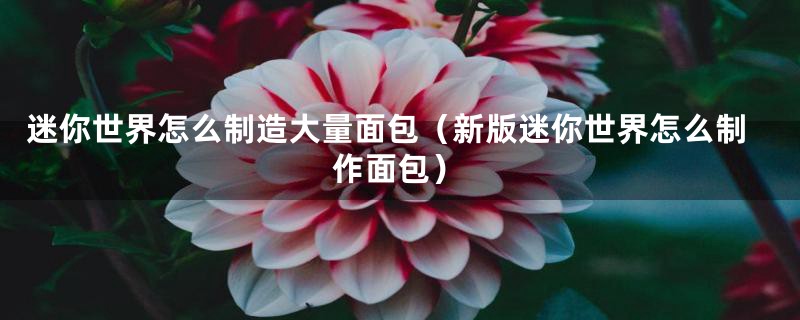迷你世界怎么制造大量面包（新版迷你世界怎么制作面包）