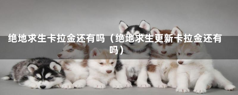 绝地求生卡拉金还有吗（绝地求生更新卡拉金还有吗）
