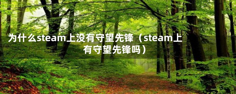 为什么steam上没有守望先锋（steam上有守望先锋吗）