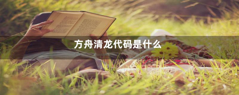 方舟清龙代码是什么