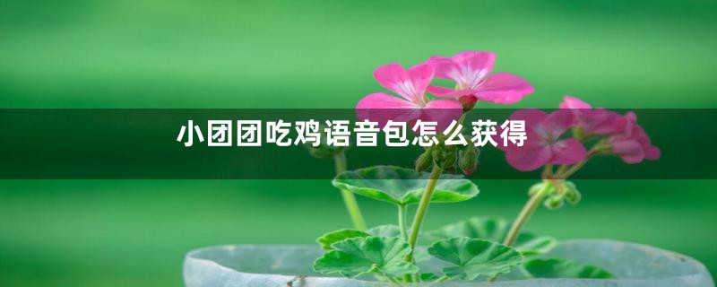 小团团吃鸡语音包怎么获得