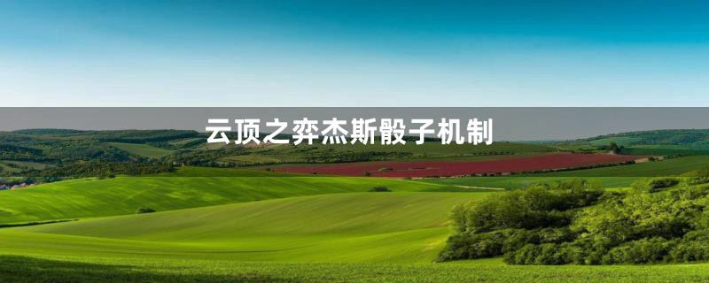 云顶之弈杰斯骰子机制
