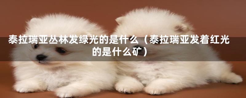 泰拉瑞亚丛林发绿光的是什么(泰拉瑞亚发着红光的是什么矿)