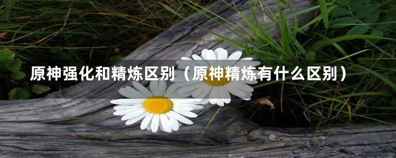 原神强化和精炼区别（原神精炼有什么区别）