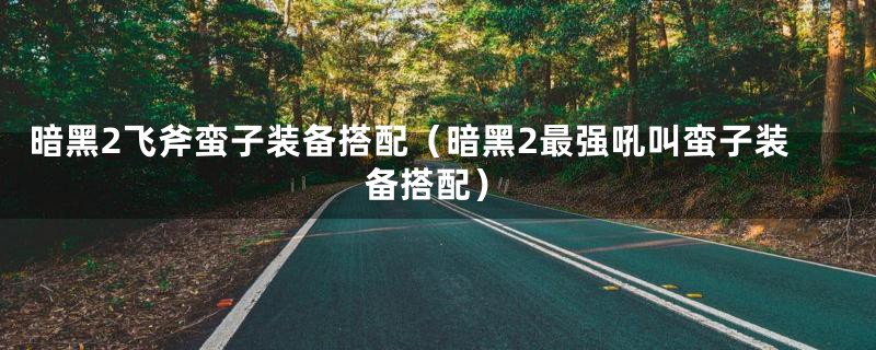 暗黑2飞斧蛮子装备搭配（暗黑2最强吼叫蛮子装备搭配）