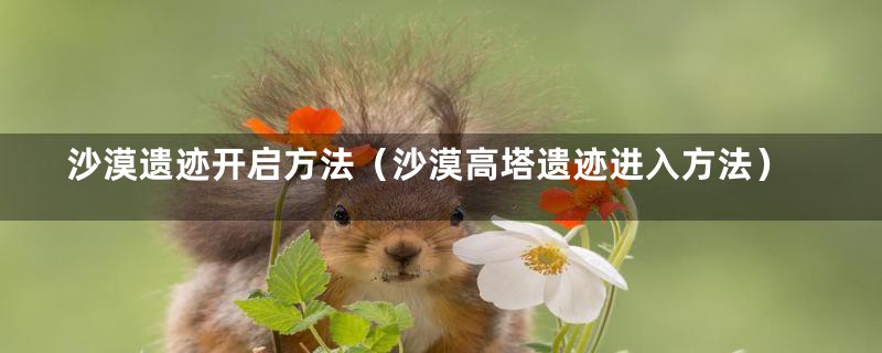 沙漠遗迹开启方法(沙漠高塔遗迹进入方法)
