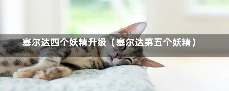塞尔达四个妖精升级(塞尔达第五个妖精)