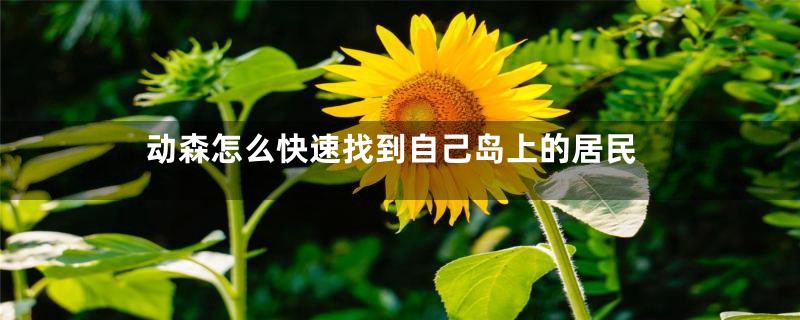动森怎么快速找到自己岛上的居民