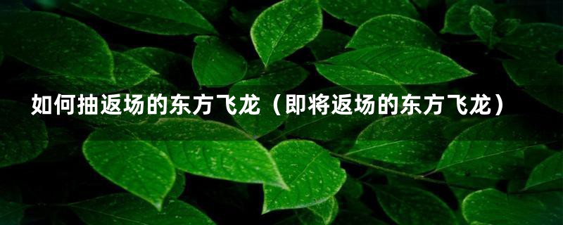 如何抽返场的东方飞龙(即将返场的东方飞龙)