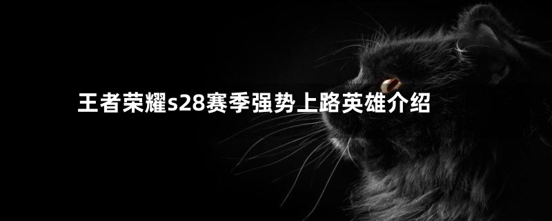 王者荣耀s28赛季强势上路英雄介绍