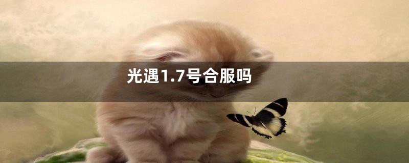 光遇1.7号合服吗