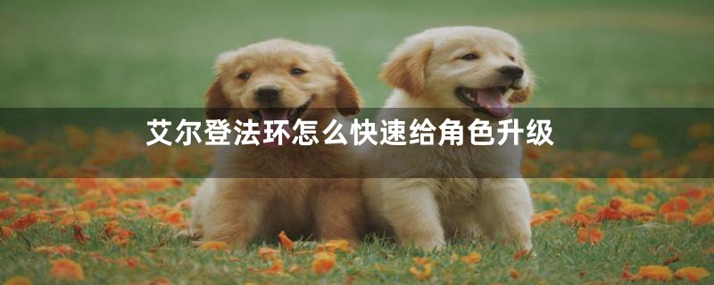 艾尔登法环怎么快速给角色升级