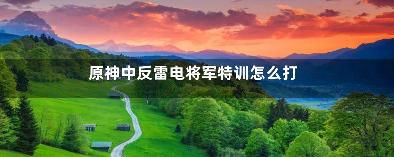 原神中反雷电将军特训怎么打