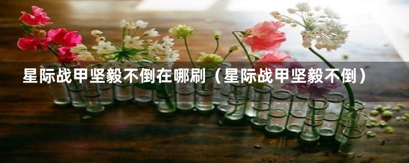 星际战甲坚毅不倒在哪刷(星际战甲坚毅不倒)
