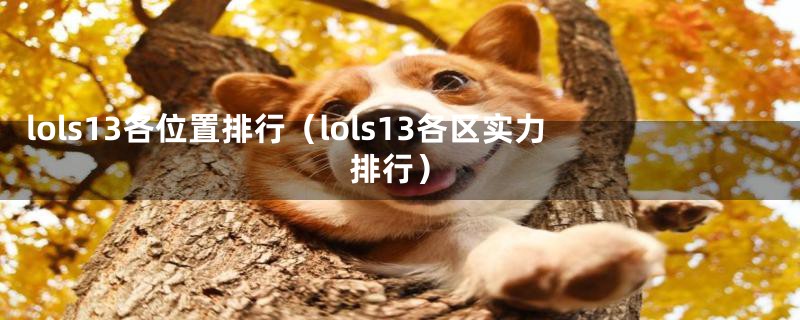 lols13各位置排行（lols13各区实力排行）