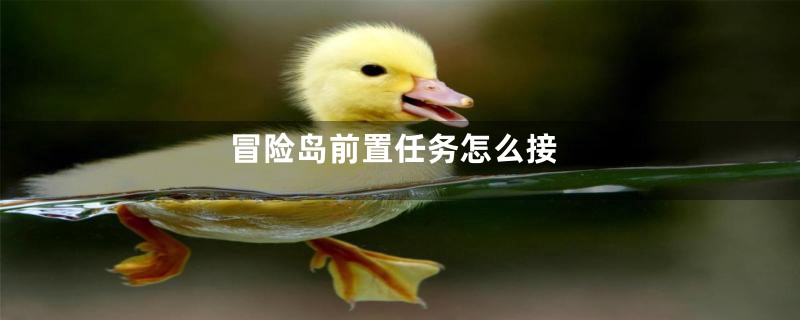 冒险岛前置任务怎么接