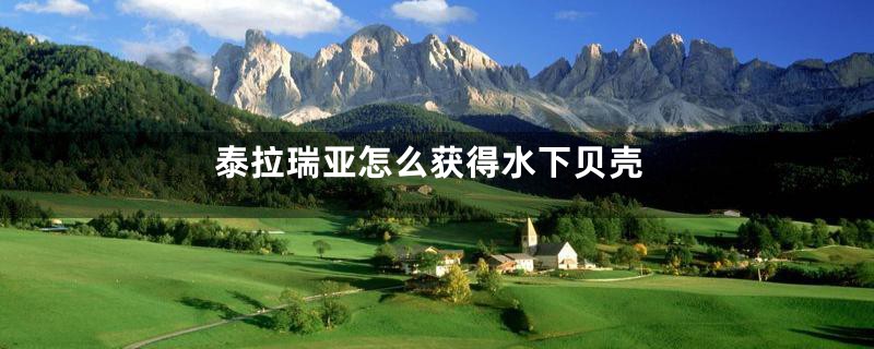 泰拉瑞亚怎么获得水下贝壳