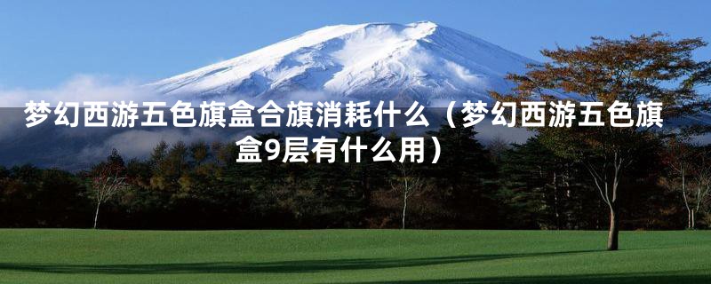 梦幻西游五色旗盒合旗消耗什么（梦幻西游五色旗盒9层有什么用）