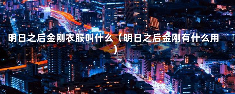 明日之后金刚衣服叫什么(明日之后金刚有什么用)