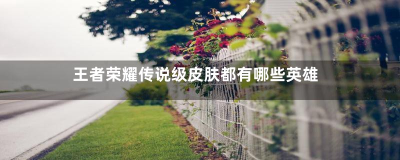 王者荣耀传说级皮肤都有哪些英雄