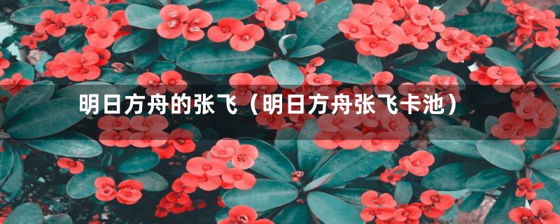 明日方舟的张飞(明日方舟张飞卡池)