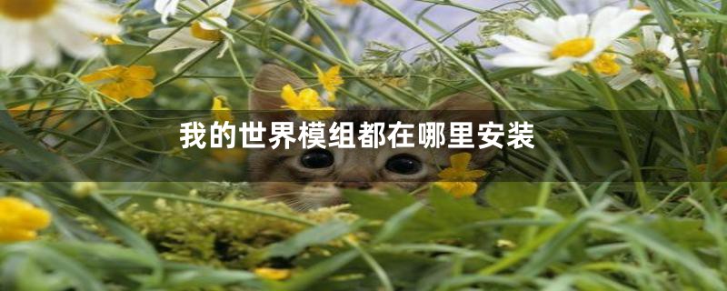 我的世界模组都在哪里安装
