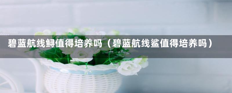 碧蓝航线鲟值得培养吗（碧蓝航线鲨值得培养吗）
