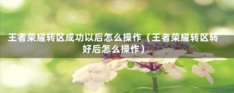 王者荣耀转区成功以后怎么操作（王者荣耀转区转好后怎么操作）