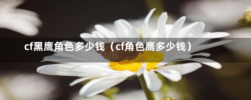 cf黑鹰角色多少钱（cf角色鹰多少钱）