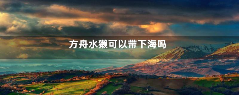 方舟水獭可以带下海吗