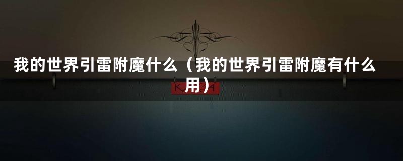我的世界引雷附魔什么(我的世界引雷附魔有什么用)