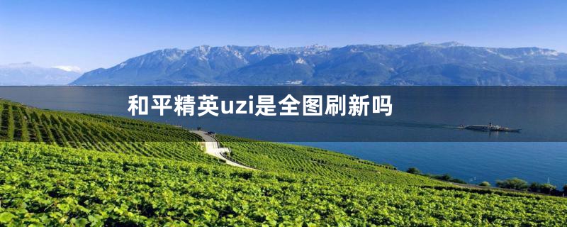 和平精英uzi是全图刷新吗