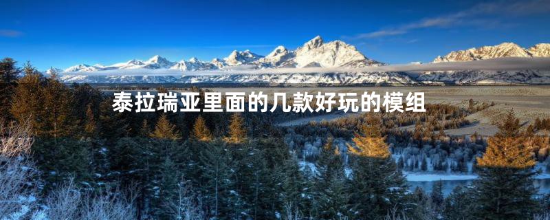泰拉瑞亚里面的几款好玩的模组