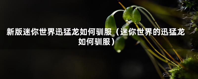 新版迷你世界迅猛龙如何驯服（迷你世界的迅猛龙如何驯服）