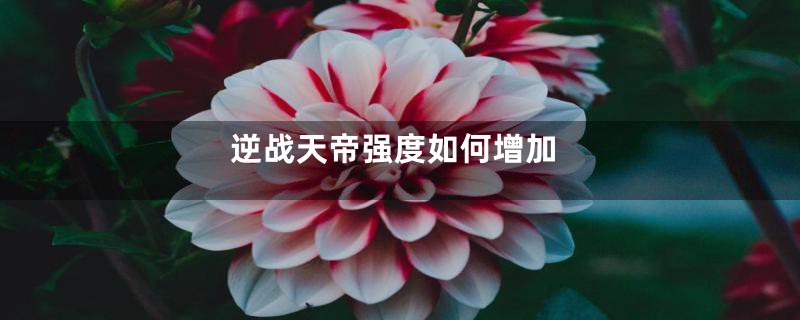 逆战天帝强度如何增加