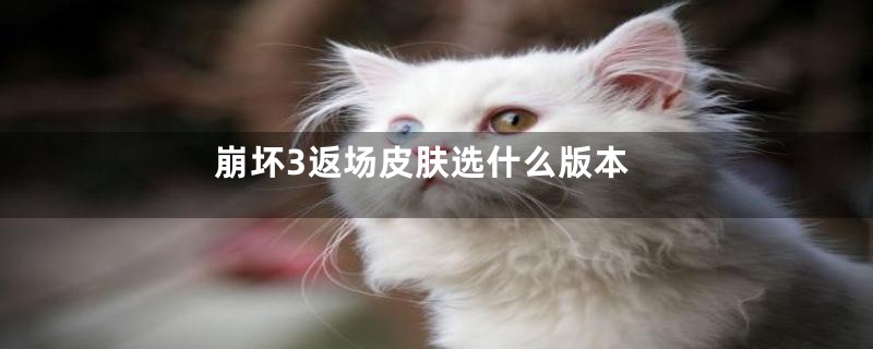 崩坏3返场皮肤选什么版本