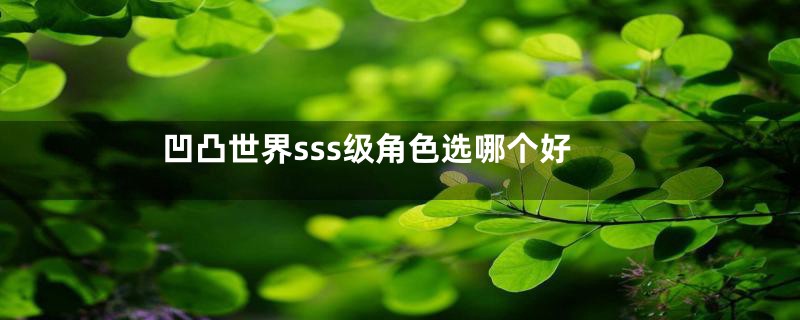 凹凸世界sss级角色选哪个好