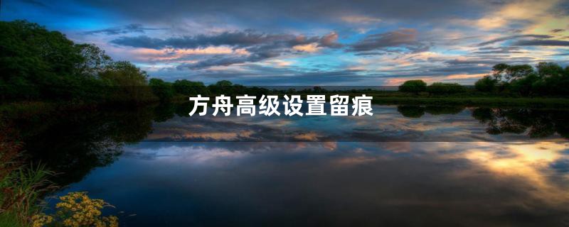 方舟高级设置留痕