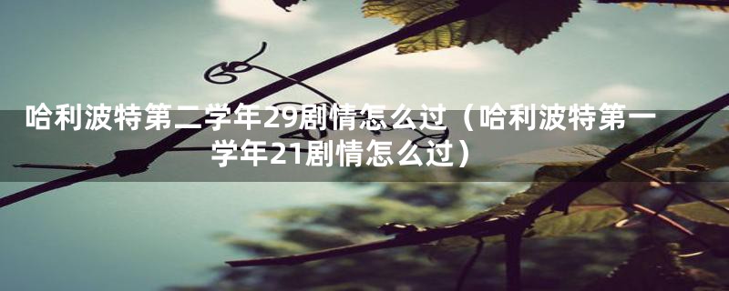哈利波特第二学年29剧情怎么过（哈利波特第一学年21剧情怎么过）