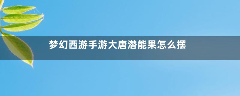梦幻西游手游大唐潜能果怎么摆