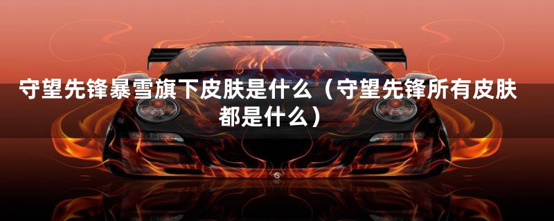 守望先锋暴雪旗下皮肤是什么（守望先锋所有皮肤都是什么）