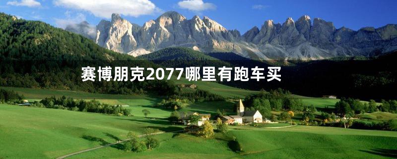 赛博朋克2077哪里有跑车买