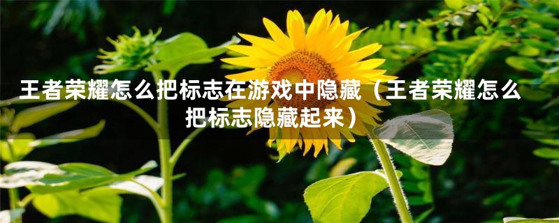 王者荣耀怎么把标志在游戏中隐藏（王者荣耀怎么把标志隐藏起来）
