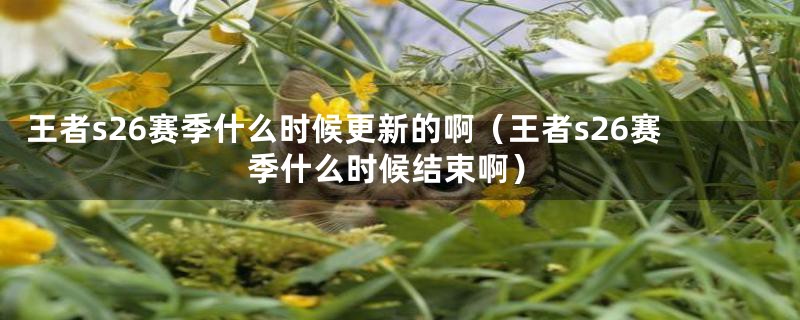 王者s26赛季什么时候更新的啊（王者s26赛季什么时候结束啊）