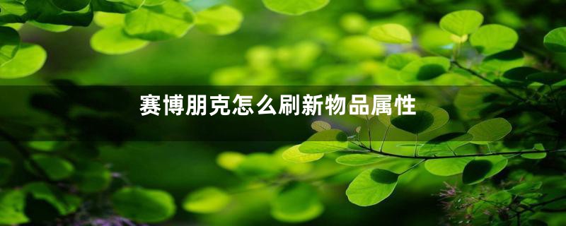 赛博朋克怎么刷新物品属性