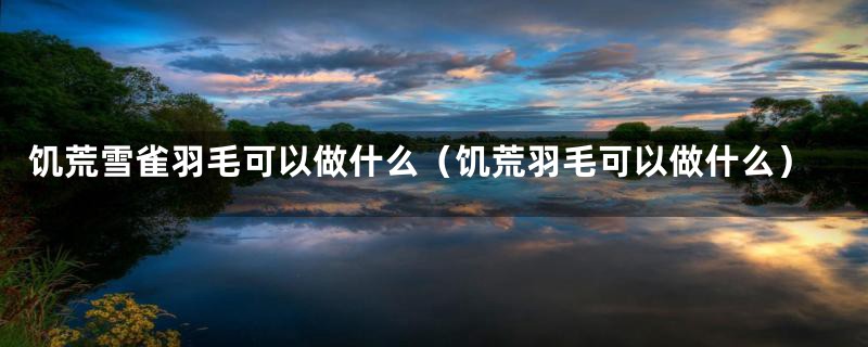 饥荒雪雀羽毛可以做什么（饥荒羽毛可以做什么）