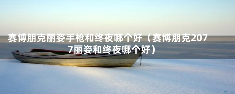 赛博朋克丽姿手枪和终夜哪个好（赛博朋克2077丽姿和终夜哪个好）
