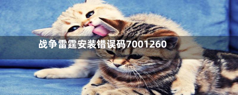 战争雷霆安装错误码7001260