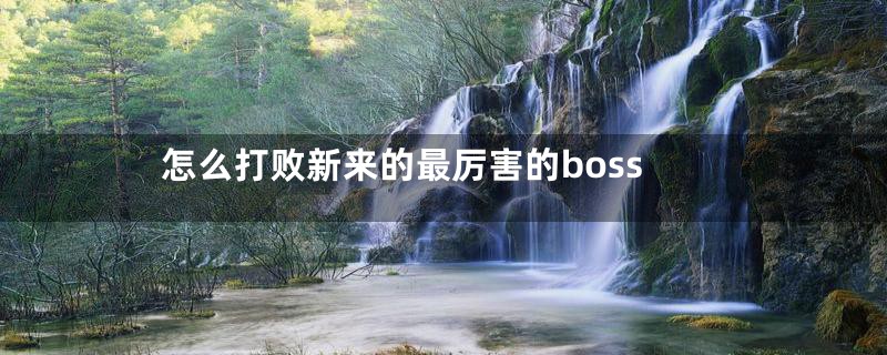 怎么打败新来的最厉害的boss