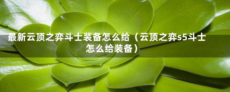 最新云顶之弈斗士装备怎么给(云顶之弈s5斗士怎么给装备)